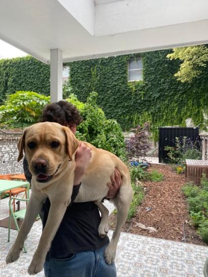 Lucas met zijn grote vriend